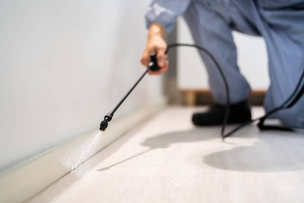 Licensed Termite Control service in Armonk, NY - Nex Pest Control