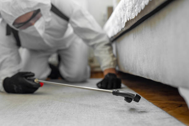 Professional Termite Control technician working in Armonk, NY
